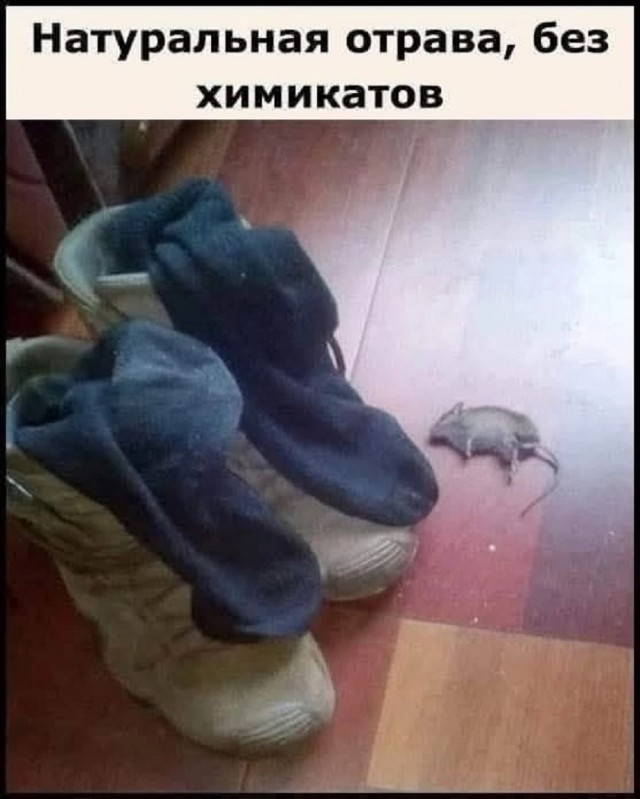 Так себе картинки 06.09.25