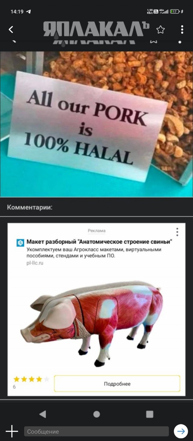 Вся наша свинина 100% халяль