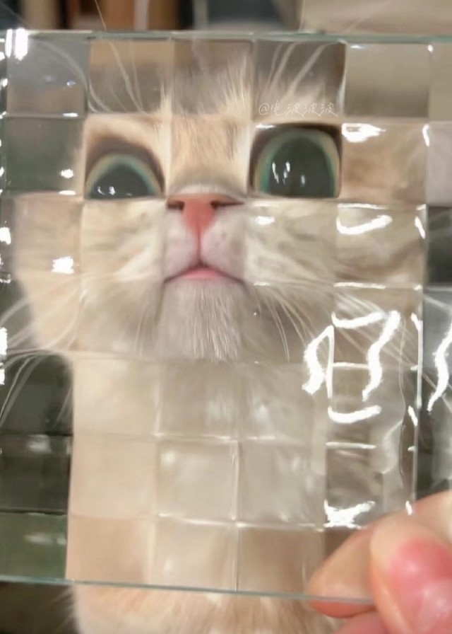 Кот - глазастик.