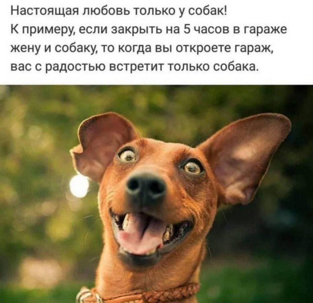 Картинки Понедельника