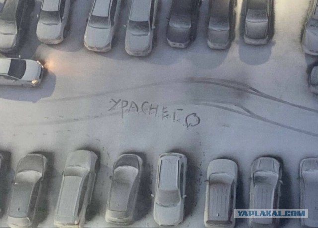 Первый снег в Московской области может выпасть в последних числах октября