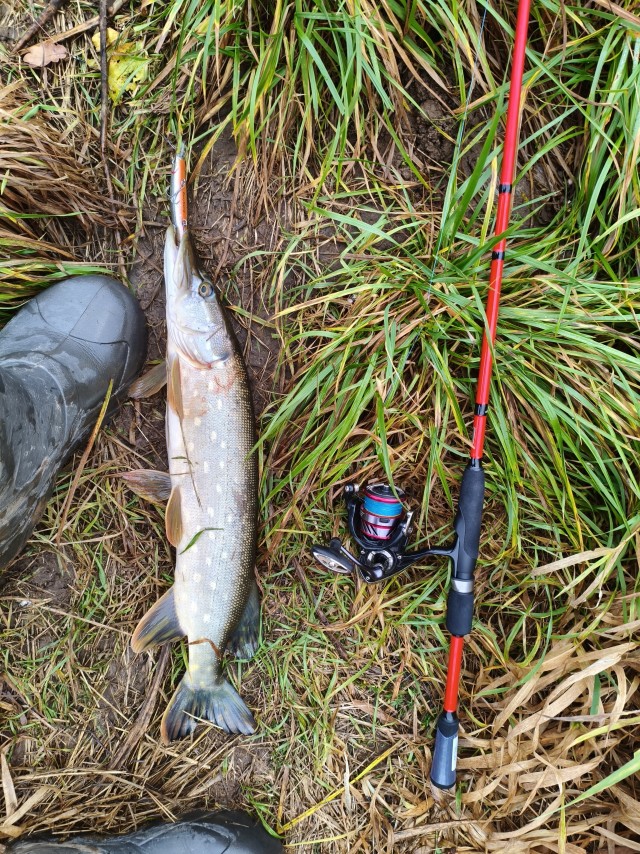 Небольшая поклёвка в последние осенние дни.