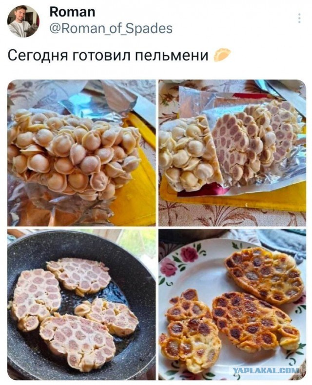 Картинки для деградации 104 (разной степени свежести)
