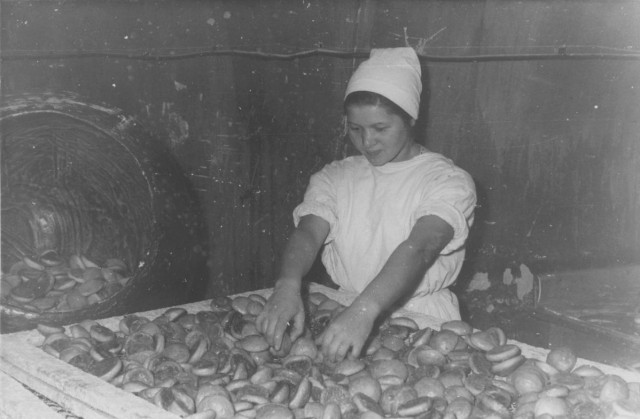 Фотографии из прошлого нашей страны – 125