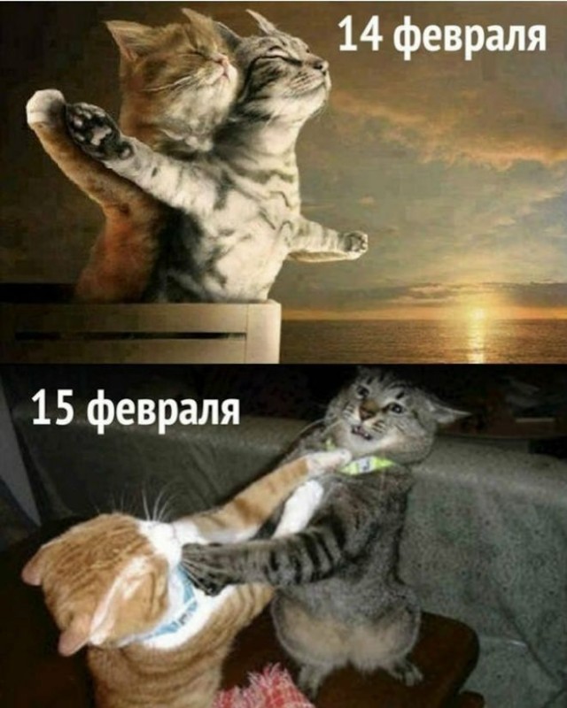 Картиночки, баянчики 18 февраля