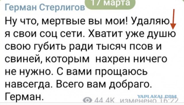 Пришла беда, откуда не ждали