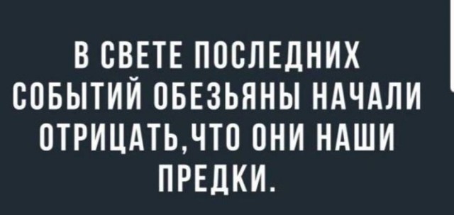 В Уганде вспыхнула очередная братоубийственная война среди шимпанзе