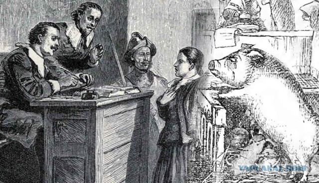 Звериный суд: Зачем европейцы сажали на скамью подсудимых крыс, свиней и жуков?