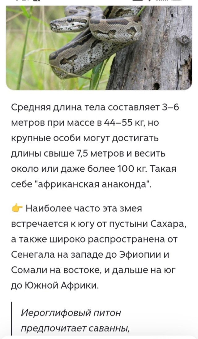 Сколько мы будем терпеть этот беспредел!?