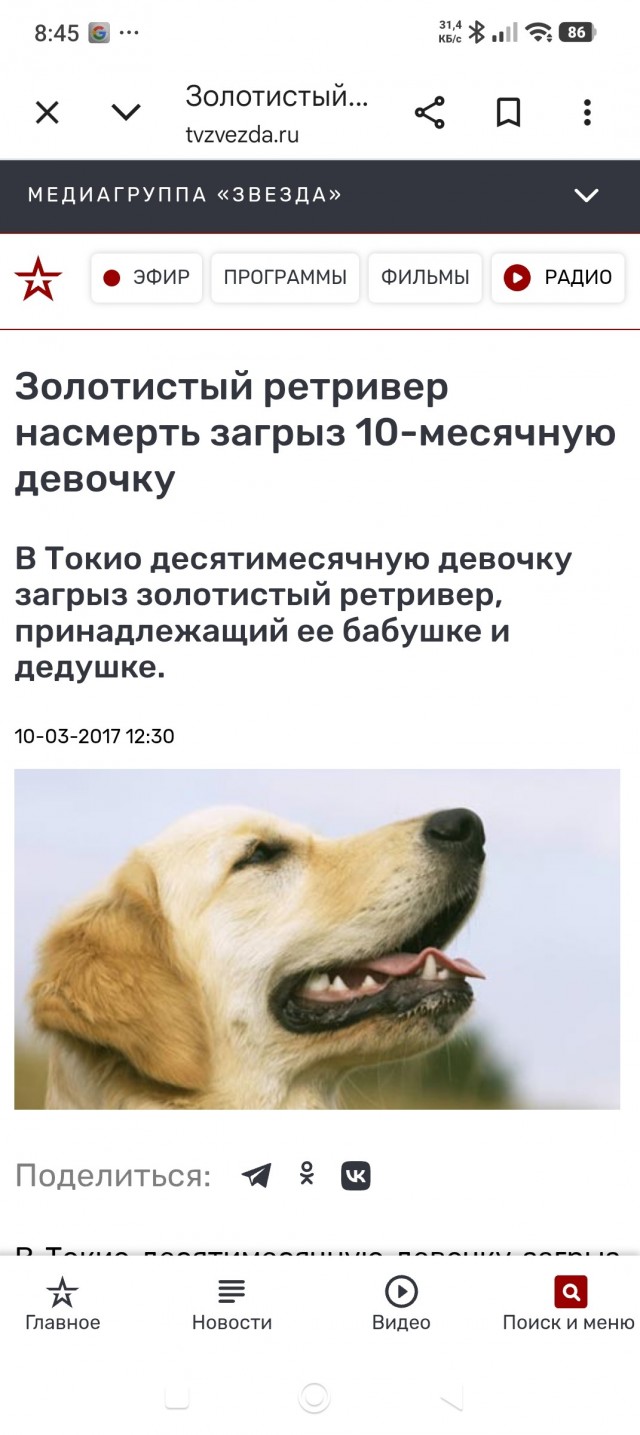 Так! Стоп!