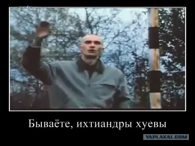 Маленькая птичка стала причиной нашествия медведей в России.