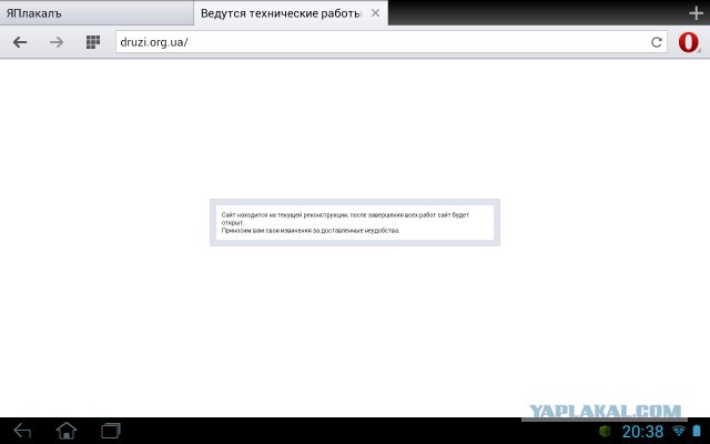 Запущена первая социальная сеть для украинцев