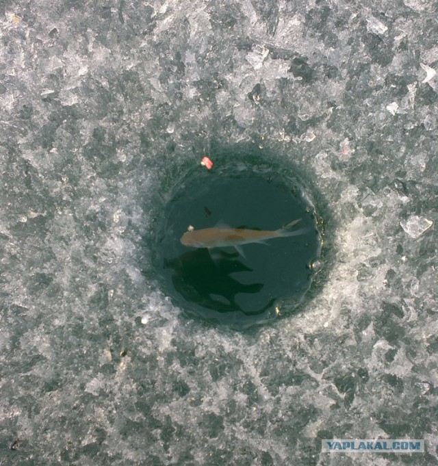 На заливе Иркутского водохранилища