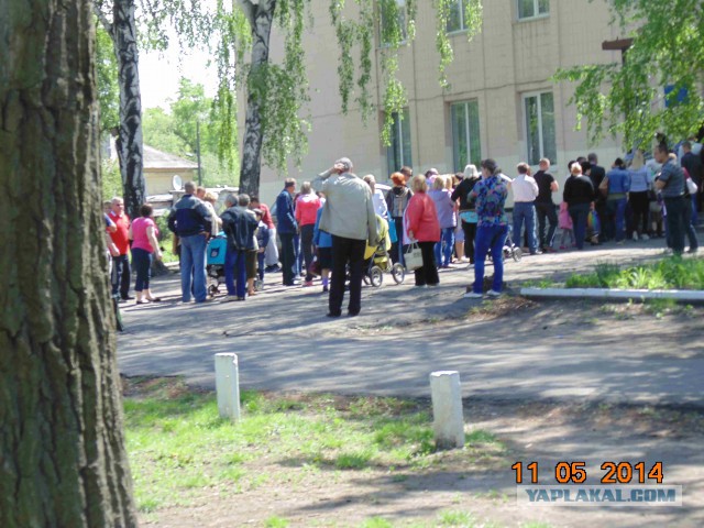 Подборка фото с референдума