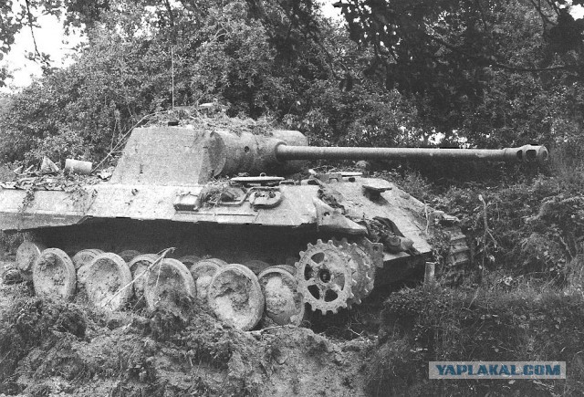 Wargaming 12, WoT сотоварищи