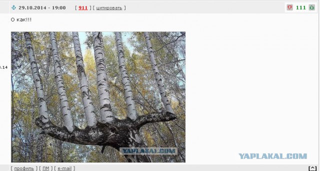 Раскоряка 18+