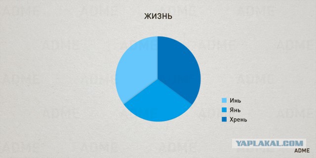 23 чертовски простые диаграммы о нашей жизни