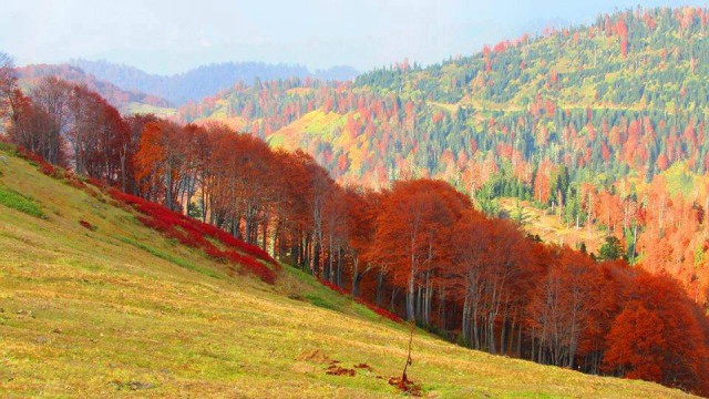 Грузия в фотографиях