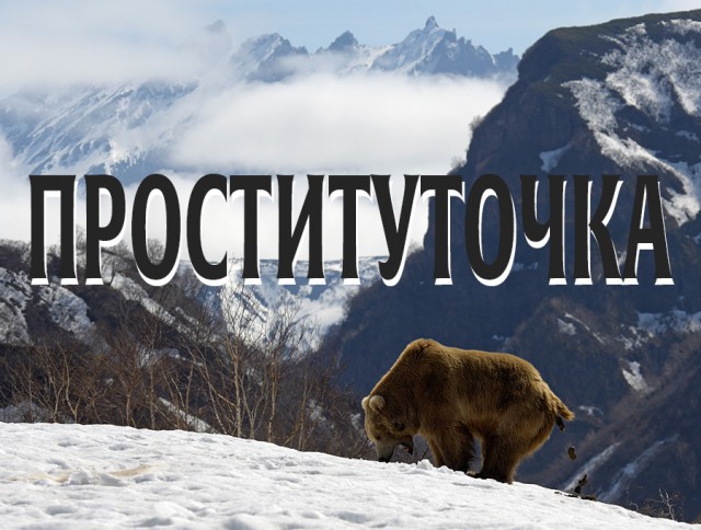 Проституточка