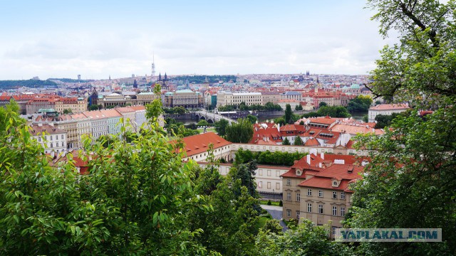 ЕвроТрип: Чехия, Австрия, Германия
