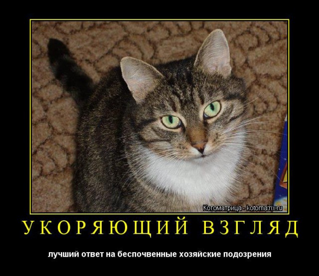 Помыл машину с вечера...