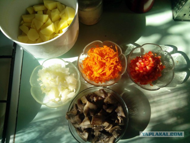 Неудачная рыбалка или нет худа без добра