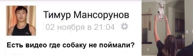 Фотожаберам