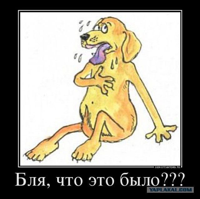 Не сдался собак....