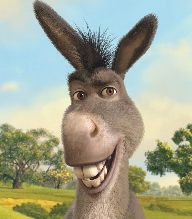 Сделайте паузу для срочного включения из ванны: два утёнка забрались на мохнатый остров из капибары