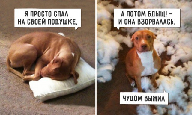 По следу