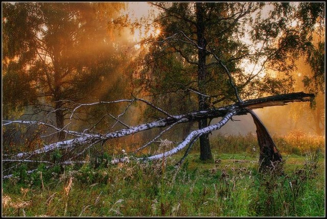 Осень
