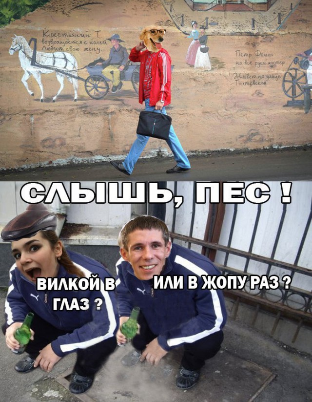 Панин vs пёсик