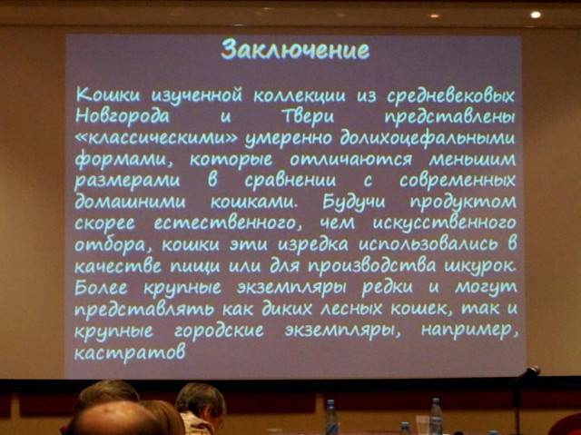 Воины эпохи Древней Руси X - XI веков.
