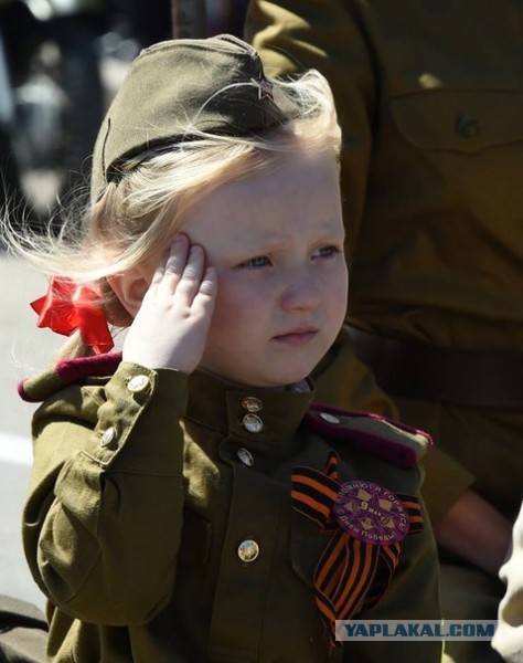 Российским поисковикам запретили участвовать в параде в Севастополе