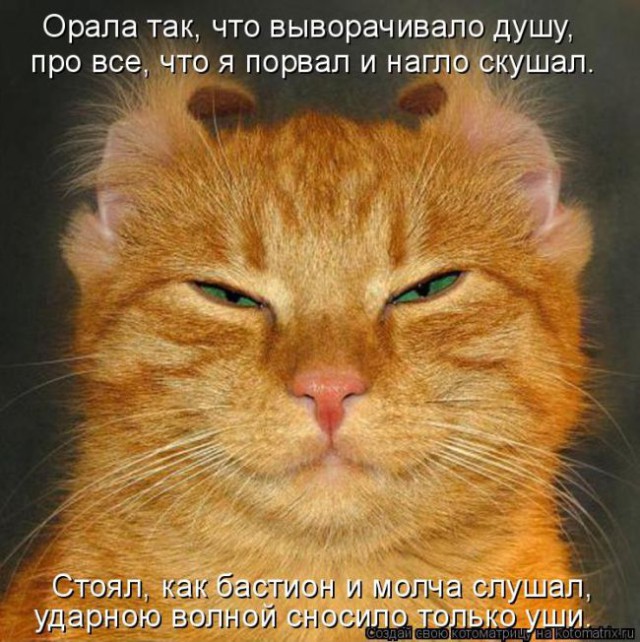 Картинки всякие для поднятия настроения!