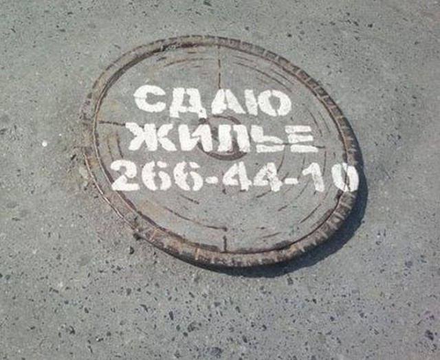 100 картинок для поднятия настроения!