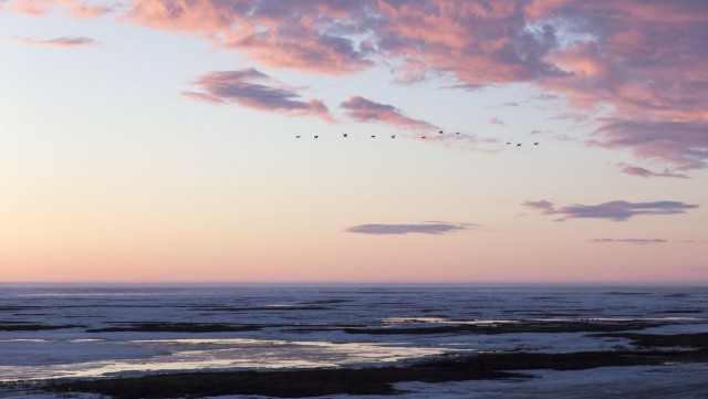 Просто Природа