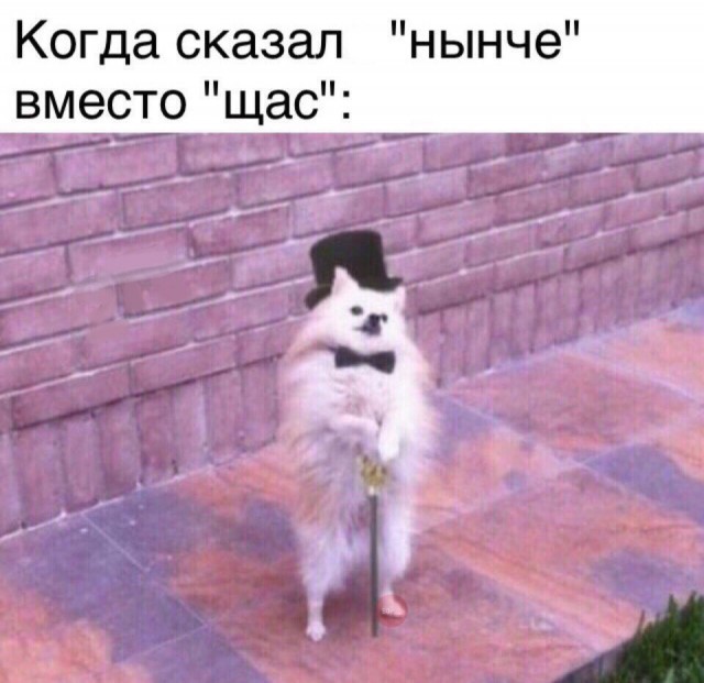 Не очень светлый и абсурдный юмор обо всём