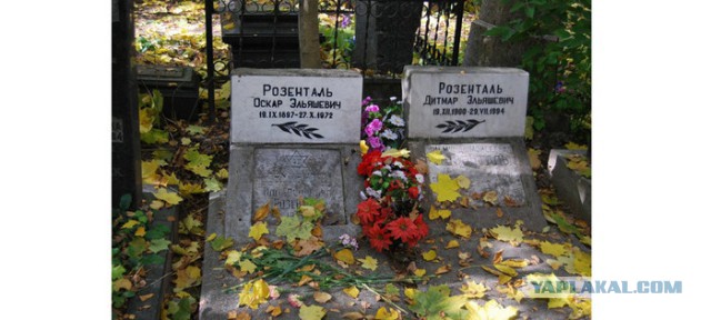 Ударные правила Розенталя