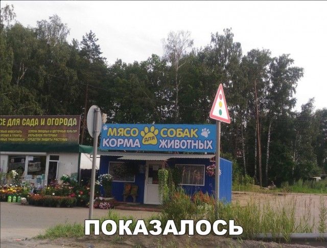 Прикольные надписи и объявления