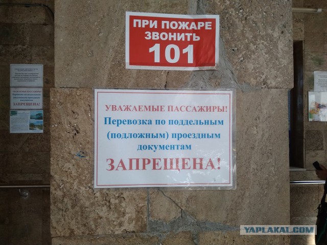 Перлы