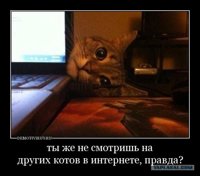 Не, ну ты видел?!
