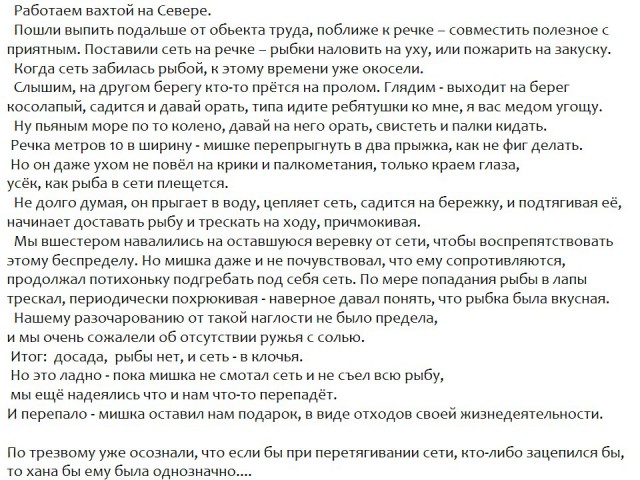 "Зовите медведя" кричат в интернете!