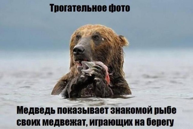 Жесткое задержание велосипедиста росгвардией