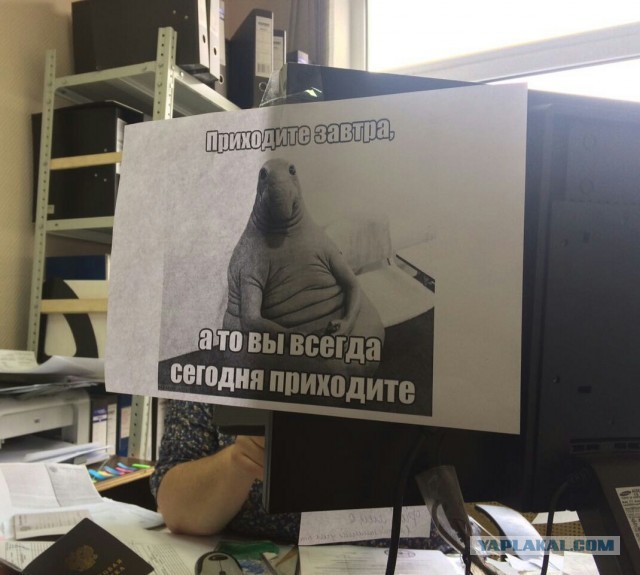 Подброка неинтересных и унылых картинок 03.11.19