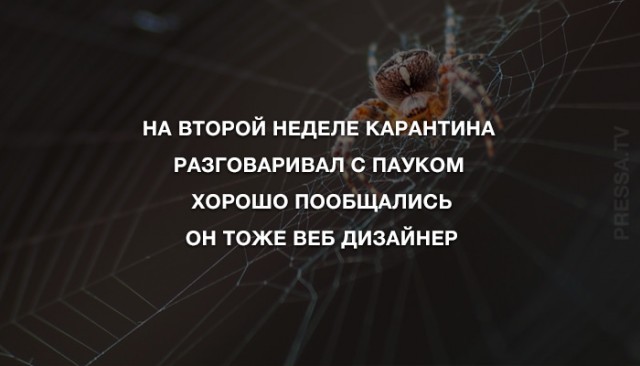Бредзона 23.04.20