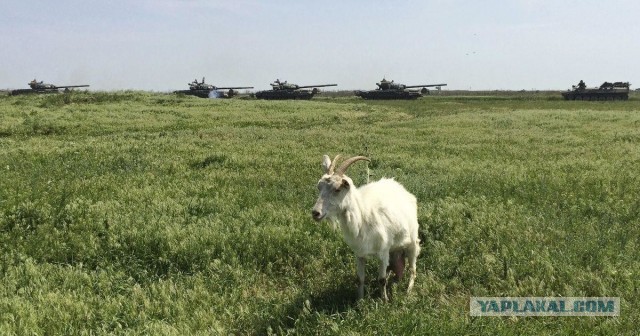 На поле танки грохотали, а фермер плакал и считал