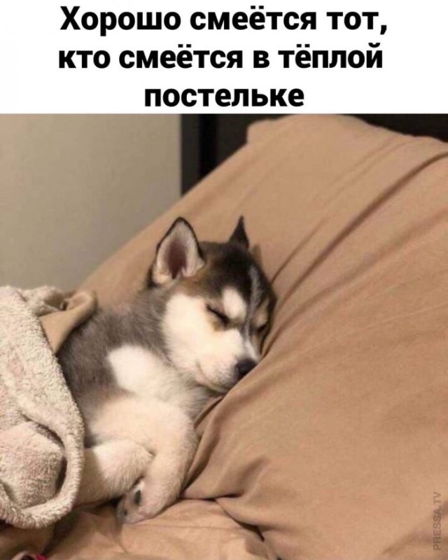 Картинки и мемы для настроения 007