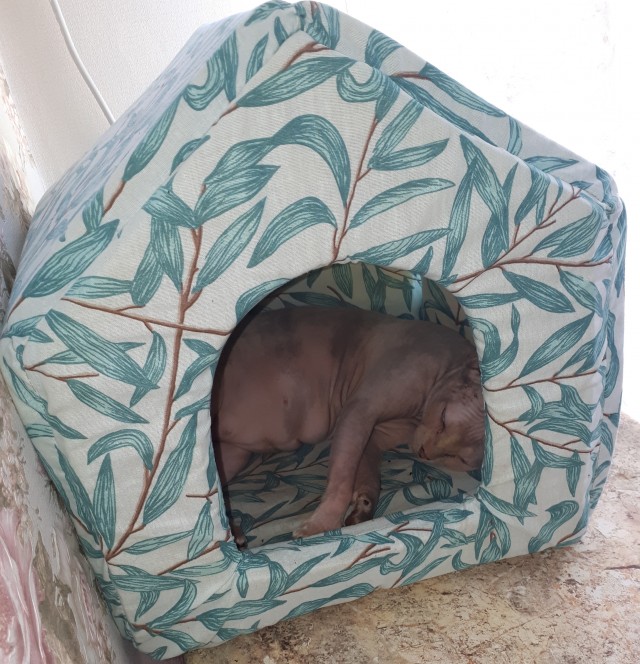 Маркиз