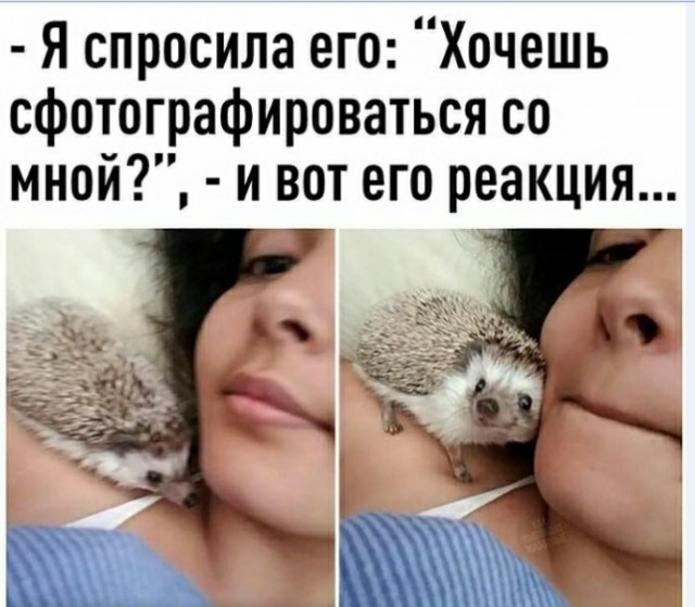 Картинки и мемы для настроения 016